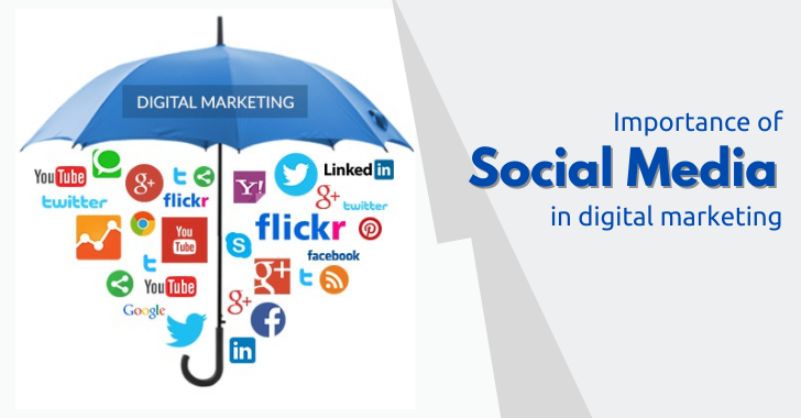 Social Media in Digital Marketing: